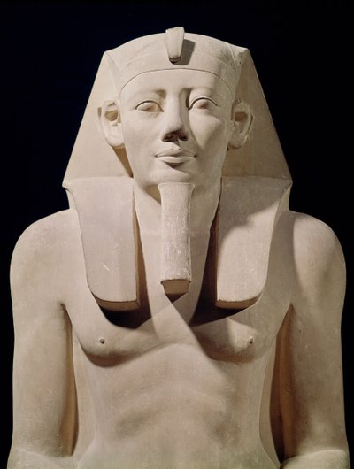 Statua seduta di Sesostri I (1971-28 a.C.), originariamente dal Tempio Funerario di Sesostri I ad al-Lisht (dettaglio) da Egyptian 12th Dynasty
