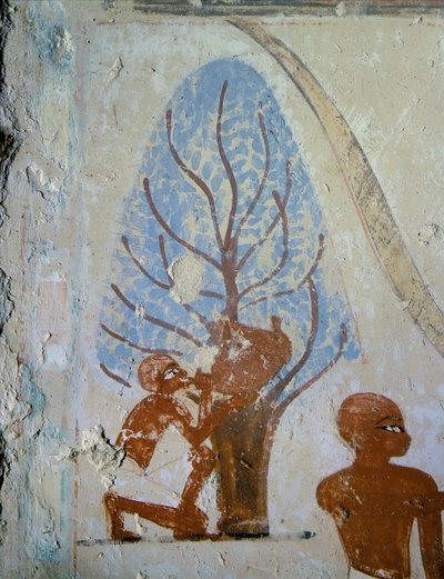  da Egyptian 18th Dynasty