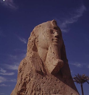 Sfinge di alabastro, Nuovo Regno, probabilmente dal regno di Amenhotep II, c.1450-1425 a.C. da Egyptian 18th Dynasty