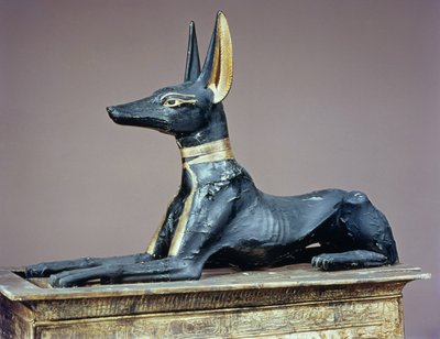Anubi, dio egizio dei morti da un cofanetto a forma di santuario, dalla tomba di Tutankhamon (c.1370-52 a.C.) Nuovo Regno (legno) da Egyptian 18th Dynasty