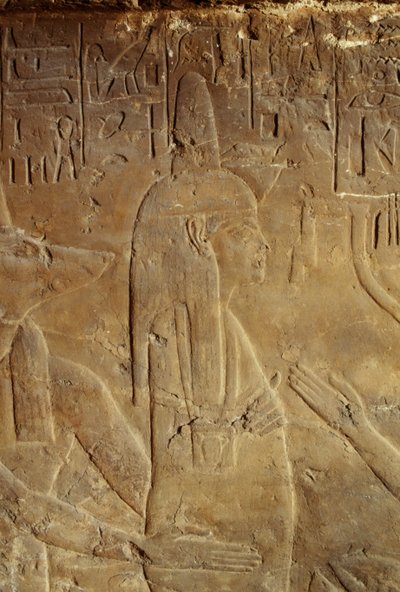 Anubi che tiene la mummia, rilievo dalla tomba di Maia, nutrice di Tutankhamon, Saqqara, Egitto, Civiltà egizia, Nuovo Regno, XVIII dinastia, (dettaglio) da Egyptian 18th Dynasty