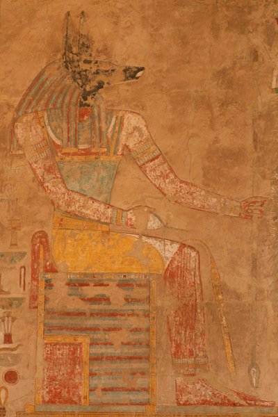 Anubi, il dio della morte dal Tempio Mortuario della Regina Hatshepsut da Egyptian 18th Dynasty