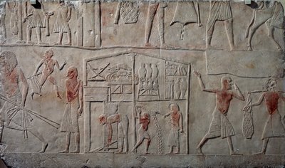 Disposizione del cibo nei magazzini, rilievo in calcare, dalla tomba memphita di Horemheb a Saqqara, Civiltà Egizia, Nuovo Regno, Dinastia XVIII da Egyptian 18th Dynasty