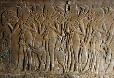 Bassorilievo dalla tomba di Maia, nutrice di Tutankhamon, Saqqara, Egitto, Civiltà Egizia, Nuovo Regno, Dinastia XVIII (dettaglio) da Egyptian 18th Dynasty