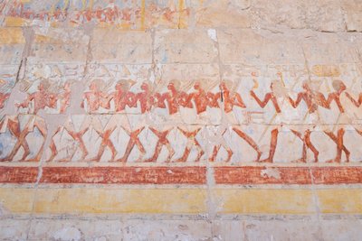 Bassorilievo del viaggio di Hatshepsut nella terra di Punt (Somalia), tempio di Hatshepsut a Deir Al Bahari, Luxor, Egitto da Egyptian 18th Dynasty