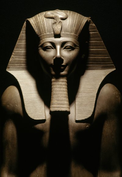 Statua di basalto di Thutmose III, dal Tempio di Amon a Karnak, Egitto, Civiltà egizia, Nuovo Regno, XVIII dinastia, (dettaglio) da Egyptian 18th Dynasty