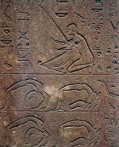 Celebrazioni con suonatore di arpa e acrobati, rilievo, Cappella Rossa di Hatshepsut, ricostruzione esposta al Museo di Karnak, Civiltà Egizia, Nuovo Regno, Dinastia XVIII da Egyptian 18th Dynasty