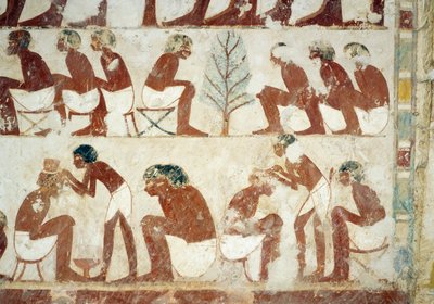 Taglio dei capelli dei soldati, affresco, parete sud, camera trasversale ovest, Tomba di Userhat, tutore e scriba durante il regno di Amenhotep II, conosciuta anche come tomba TT56, Sheikh Abd el-Qurna, Tebe. Civiltà egizia, Nuovo Regno, XVIII dinastia da Egyptian 18th Dynasty
