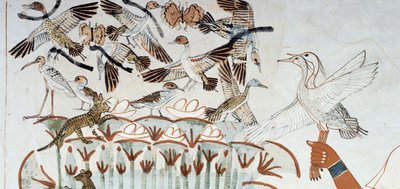 Anatre, nidi, farfalle, gatti e roditori, dettaglio dalla scena di caccia e pesca nelle paludi, affresco, parete nord, camera longitudinale, Tomba Tebana TT69, Sheikh Abd el-Qurna, Tebe. Civiltà egizia, Nuovo Regno, XVIII dinastia. da Egyptian 18th Dynasty