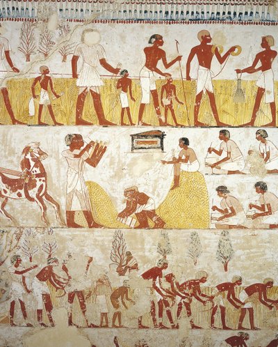 Tomba del supervisore reale Menna, Vestibolo, Dipinti murali, Lavoro nei campi da Egyptian 18th Dynasty