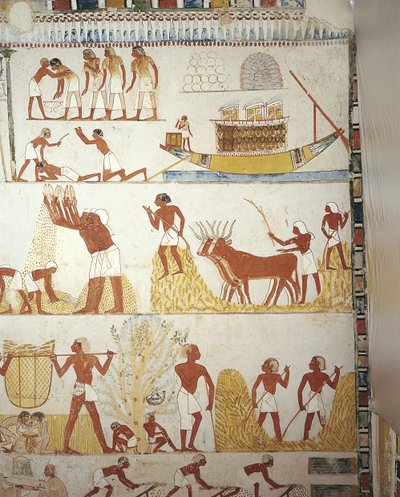 Egitto, Tebe, Luxor, Sheikh 
