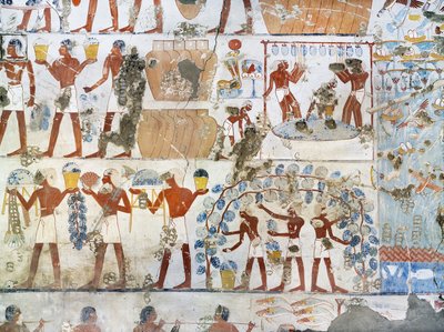 Egitto, Tebe, Luxor, Sheikh 