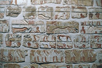 Egitto, Tebe, Luxor, Templi di Karnak, Muro di Talatat dal tempio di Amenhotep IV da Egyptian 18th Dynasty