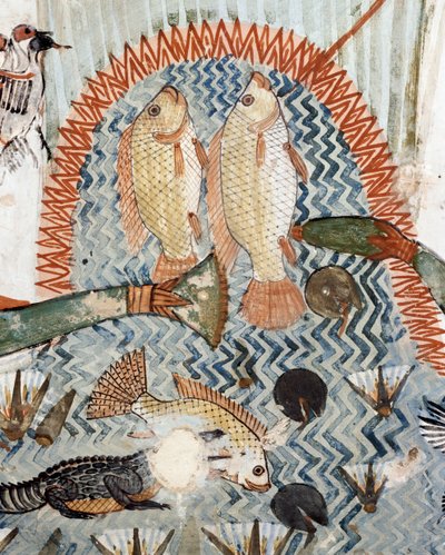 Pesce, (dettaglio) dalla scena di caccia e pesca nelle paludi, affresco, parete nord, camera longitudinale, Tomba Tebana TT69, Sheikh Abd el-Qurna, Tebe (Patrimonio dell