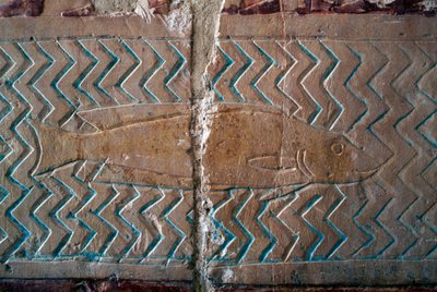 Pesci, scene del regno di Punt, parete sud del colonnato centrale, Tempio funerario di Hatshepsut, Deir el-Bahari, Necropoli tebana (Lista del Patrimonio Mondiale UNESCO) da Egyptian 18th Dynasty