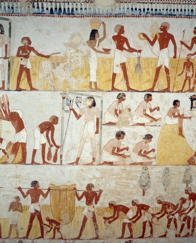 Raccolta del raccolto, trebbiatura e ventilazione del grano, dettaglio degli affreschi nell