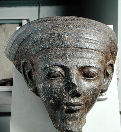 Testa di un sacerdote, da un sarcofago, Nuovo Regno, c.1350 a.C. (granito) da Egyptian 18th Dynasty