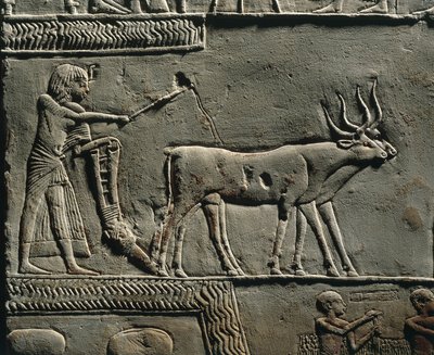 Horemheb che ara la terra nei Campi di Iaru. Rilievo dalla tomba di Horemheb a Saqqara, dettaglio. da Egyptian 18th Dynasty