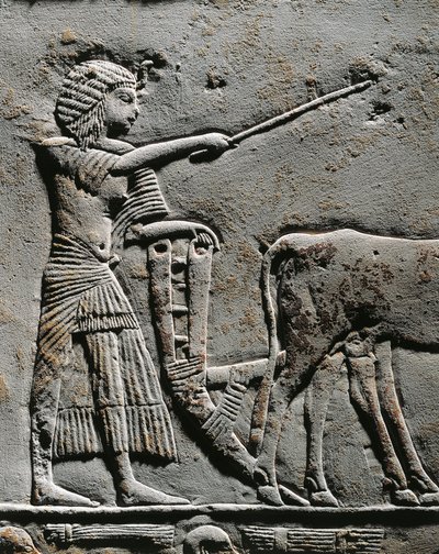 Horemheb che ara la terra nei Campi di Iaru, rilievo dalla tomba di Horemheb a Saqqara (dettaglio) da Egyptian 18th Dynasty