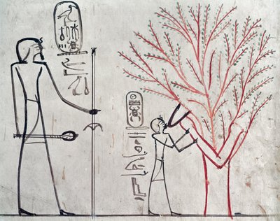 Iside trasformata in un sicomoro che allatta Tuthmosis III, c.1479-1425 a.C. da Egyptian 18th Dynasty