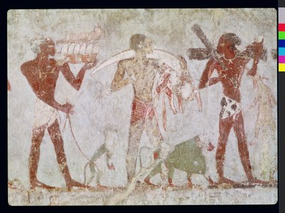 Kushiti che portano tributi di oro, avorio e pelli di animali, dalla Tomba di Rekhmire, visir di Tuthmosis III e Amenhotep II, Nuovo Regno da Egyptian 18th Dynasty