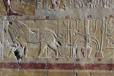 Leone, rilievo, Tempio funerario di Hatshepsut, Deir el-Bahari, necropoli tebana (Lista del Patrimonio Mondiale UNESCO) da Egyptian 18th Dynasty