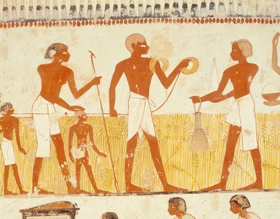 Misurazione della terra usando una corda, dalla Cappella della Tomba di Menna, Nuovo Regno da Egyptian 18th Dynasty