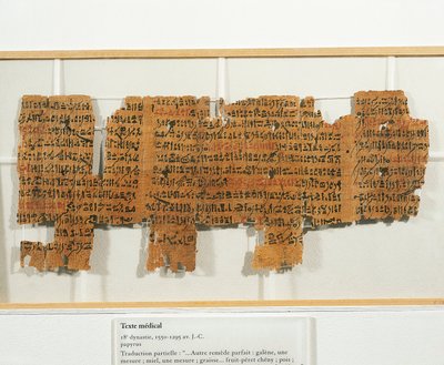 Prescrizione medica scritta su papiro da Egyptian 18th Dynasty