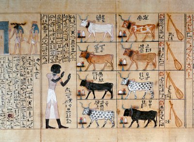Papiro raffigurante buoi, dal Libro dei Morti di Maiherperi da Egyptian 18th Dynasty