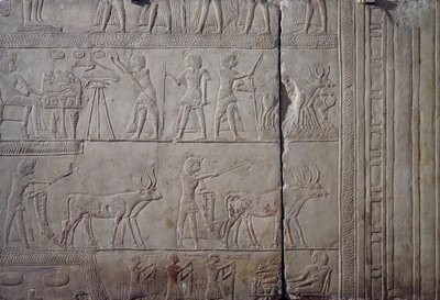 Faraone Horemheb, raffigurato mentre lavora nei campi di Iaru, ricevendo il raccolto offerto dai contadini, rilievo in pietra calcarea, dalla Tomba Memphite di Horemheb a Saqqara, Civiltà Egizia, Nuovo Regno, XVIII Dinastia da Egyptian 18th Dynasty