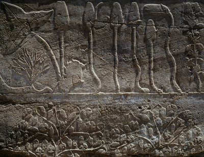 Piante riportate dalla spedizione di Thutmose III in Siria nel 1465 a.C., dettaglio del rilievo, sala conosciuta come il cosiddetto Giardino Botanico, Tempio di Amon, Complesso del Tempio di Karnak, Civiltà Egizia, Nuovo Regno, XVIII dinastia da Egyptian 18th Dynasty
