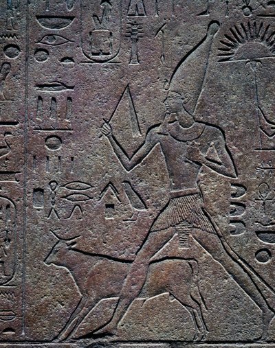 La regina Hatshepsut accompagnata dal toro Apis durante le attività cerimoniali della celebrazione del giubileo, rilievo, Tempio di Amon, Complesso del Tempio di Karnak (Lista del Patrimonio Mondiale UNESCO) da Egyptian 18th Dynasty