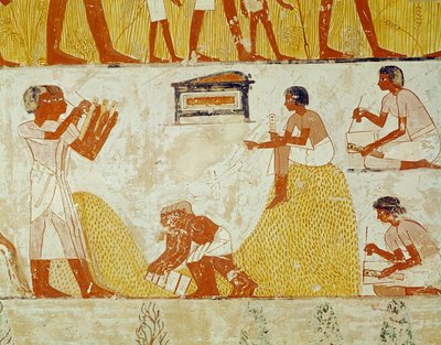 Registrazione del raccolto, dalla Tomba di Menna (pittura murale) da Egyptian 18th Dynasty