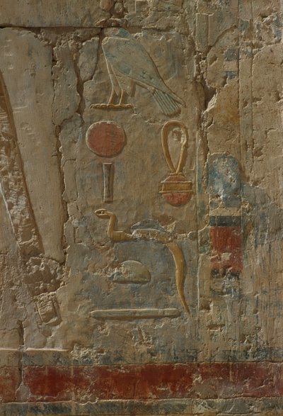 Rilievo che raffigura Horus, cappella della dea Hathor, dal Tempio Mortuario di Hatshepsut da Egyptian 18th Dynasty