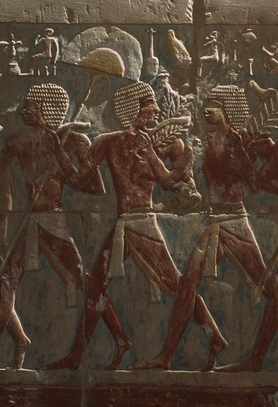 Rilievo che raffigura una parata in onore della dea Hathor (dettaglio) dal Tempio Mortuario di Hatshepsut da Egyptian 18th Dynasty