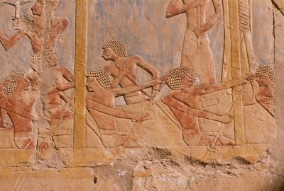 Rilievo che raffigura uomini che remano su una barca, parete decorata in onore della dea Hathor (dettaglio) dal Tempio Mortuario di Hatshepsut da Egyptian 18th Dynasty