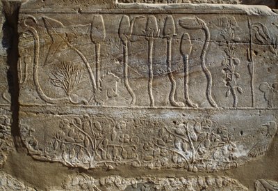 Rilievo di animali e piante offerti ad Amon da Thutmose III al suo ritorno dalla campagna di Siria nel 1465 a.C., Sala del Giardino Botanico, Karnak, Necropoli Tebana, Luxor, Egitto, Nuovo Regno, Dinastia XVIII da Egyptian 18th Dynasty