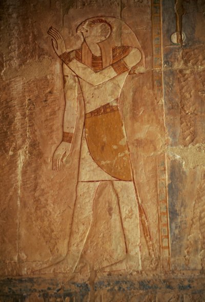 Rilievo con Horus, Tempio Mortuario di Hatshepsut, Deir el-Bahari, Necropoli Tebana (Lista del Patrimonio Mondiale UNESCO) da Egyptian 18th Dynasty