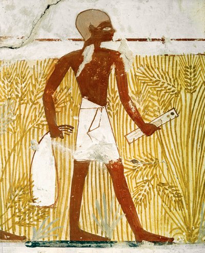  da Egyptian 18th Dynasty