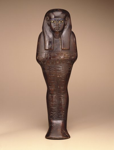 Shawabti di Maya, Nuovo Regno, c.1390-1353 a.C. da Egyptian 18th Dynasty