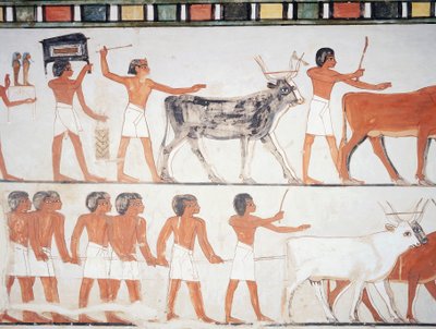 Pastori e bestiame, affresco, parete sud, camera longitudinale, Tomba Tebana TT69, Sheikh Abd el-Qurna, Tebe (Lista del Patrimonio Mondiale dell