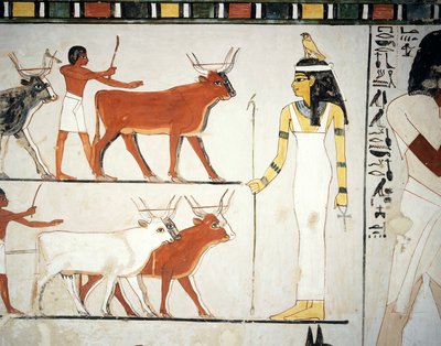 Pastori e bestiame davanti alla dea Imentet, affresco, parete sud, camera longitudinale, Tomba Tebana TT69, Sheikh Abd el-Qurna, Tebe (Patrimonio dell