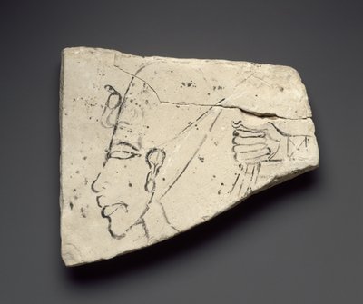 Schizzi della testa e della mano di Akhenaton, dal Grande Palazzo di Tell el-Amarna da Egyptian 18th Dynasty