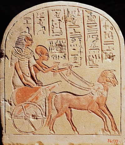 Stele raffigurante uno scriba che guida un carro, da Tell El-Amarna, Nuovo Regno, c.1353-1337 a.C. da Egyptian 18th Dynasty