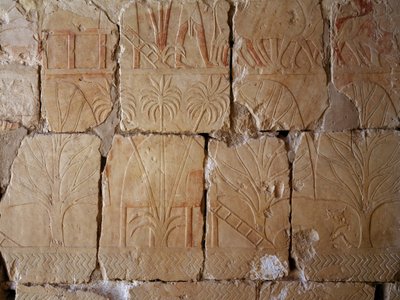 Vegetazione, dettaglio della scena che raffigura la spedizione nella Terra di Punt, rilievo dipinto, Colonnato di Punt, Tempio Funerario di Hatshepsut, Deir el-Bahari, Necropoli Tebana (Patrimonio dell