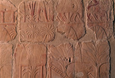 Villaggio con capanne, scene del regno di Punt, parete sud del colonnato centrale, Tempio Mortuario di Hatshepsut, Deir el-Bahari, Necropoli Tebana (Lista del Patrimonio Mondiale UNESCO) da Egyptian 18th Dynasty