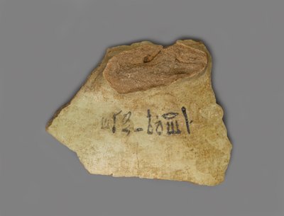 Etichetta del vino, trovata nel Palazzo di Amenhotep III, Tebe, Nuovo Regno da Egyptian 18th Dynasty