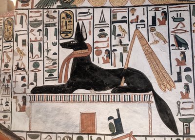 Anubi Tomba Nefertari da Egyptian 19th Dynasty