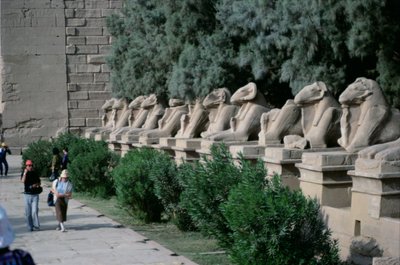 Viale di sfingi con testa di ariete che fiancheggiano la Via Processionale al Grande Tempio di Amon, Nuovo Regno da Egyptian 19th Dynasty