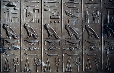 Bassorilievo con geroglifici raffiguranti il dio Horus in forma di falco e ankh, simbolo della vita, Tempio di Seti I, o Grande Tempio di Abydos, Abydos, Egitto, Civiltà Egizia, Nuovo Regno, XIX Dinastia da Egyptian 19th Dynasty